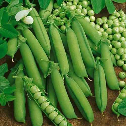 Peas