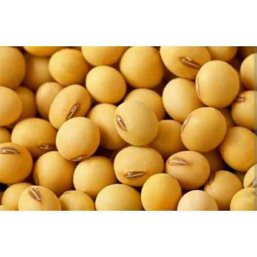 Soyabean