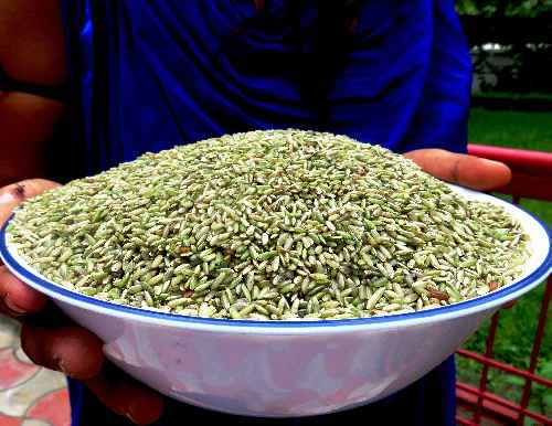Kalanamak Brown Rice