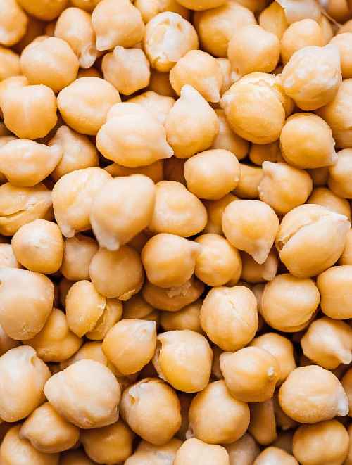 Chickpea