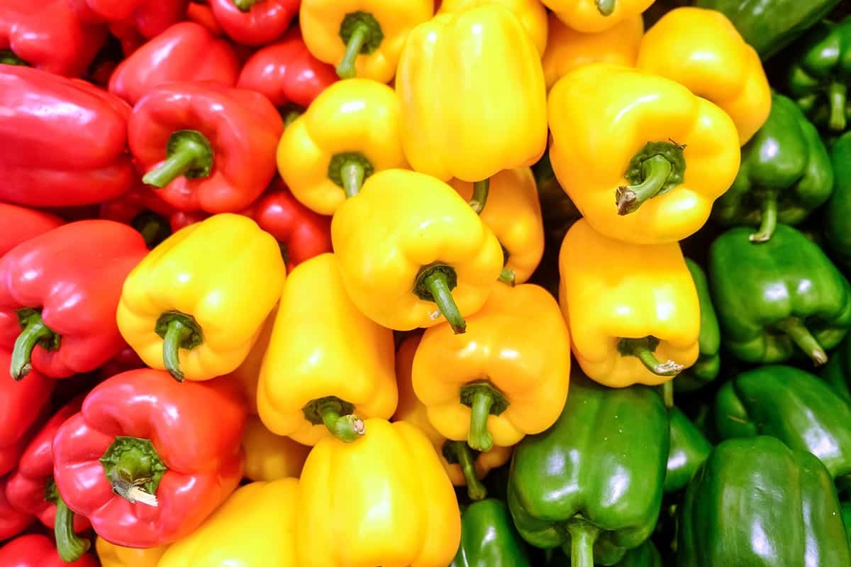 Bell Pepper