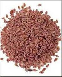 Psyllium Seeds