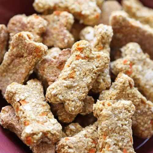Dog Snack