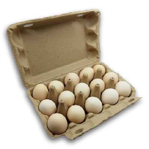 Free Range Country Chicken (pure Breed Country Chicken )