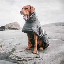 Tropical Rain Coat